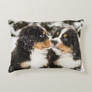Bernese Mountain Dog Puppets Sniff Each Other Decorative Pillow