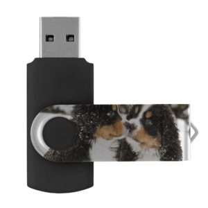 Bernese Mountain Dog Puppets Sniff Each Other USB Flash Drive