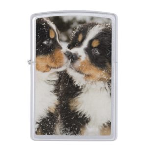 Bernese Mountain Dog Puppets Sniff Each Other Zippo Lighter