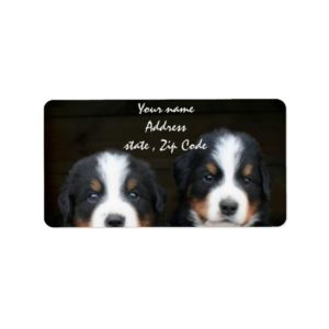 Bernese Mountain dog puppies address label