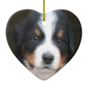 Bernese mountain dog puppies ornament