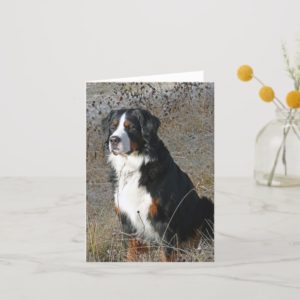 Bernese Mountain Dog Puppy Dog Note Card