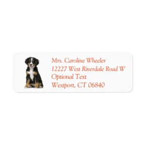 Bernese Mountain Dog Puppy Dog Return Address Label