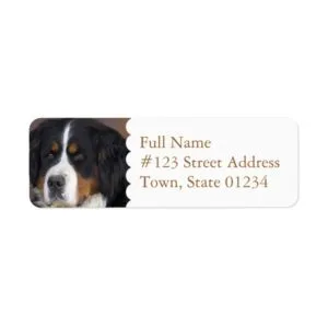 Bernese Mountain Dog Return Address Label