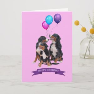 Bernese Mountain Dogs Happy Birthday Greeting Card