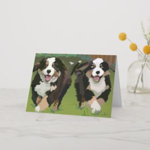 Bernese Mountain Dogs notecards