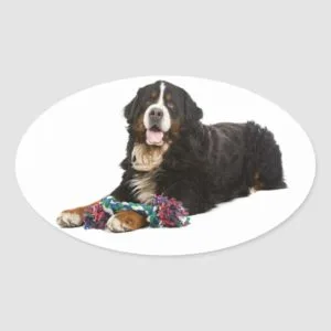 Bernese Mountain Puppy Dog Sticker / Seal