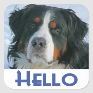 Bernese Mountain Puppy Dog Sticker / Seal