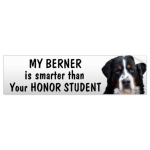 Bernese Mt Dog - Smarter than student - funny Bumper Sticker