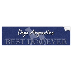 Best Dog Dogo Argentino Bumper Sticker