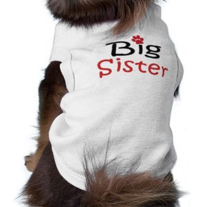 Big Sister Pet Shirt