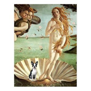 Birth of Venue Venus - Boston Terrier #1 Postcard