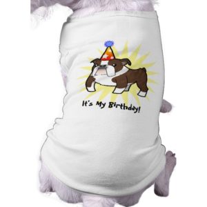 Birthday Bulldog (brindle pied) T-Shirt