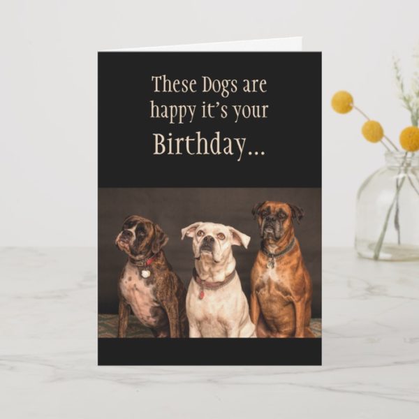 Birthday Cake Humor Hope you Trip Boxer Dogs Funny Card