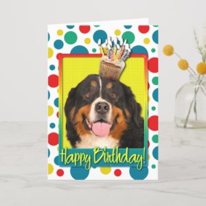 Birthday Cupcake - Bernese Mountain Dog Card