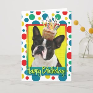 Birthday Cupcake - Boston Terrier Card