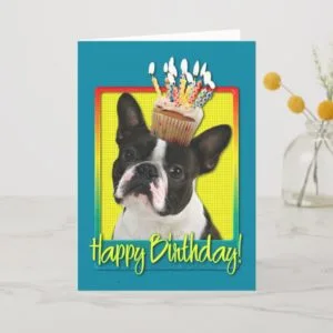 Birthday Cupcake - Boston Terrier Card