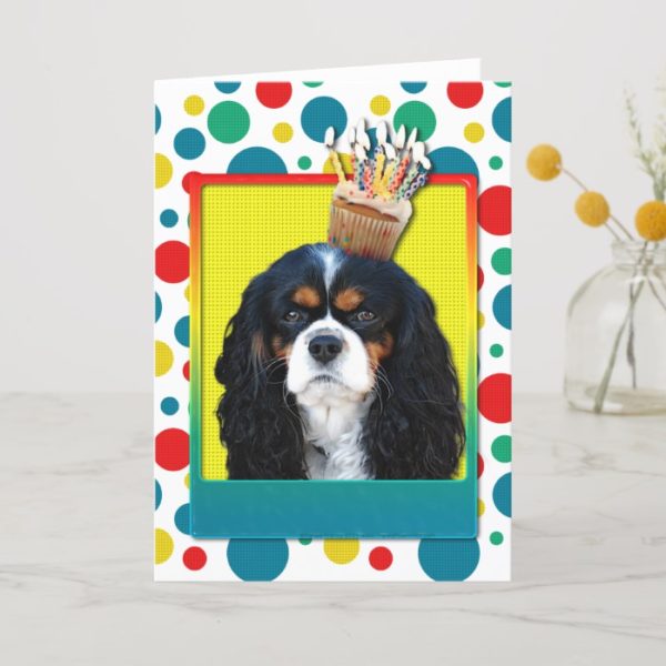 Birthday Cupcake - Cavalier - Tri-Color Card