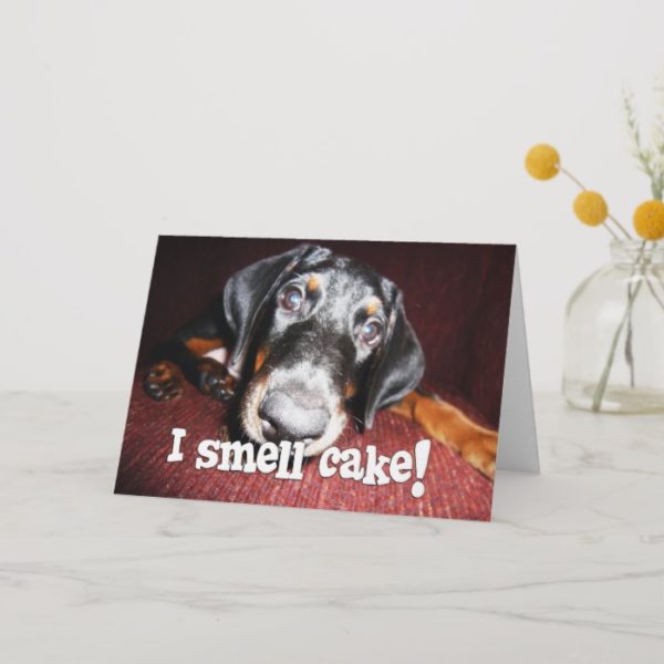Birthday General - Nosy Doberman Pinscher Puppy Card