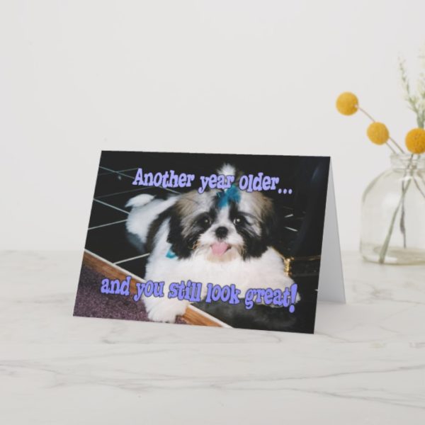 Birthday Humor - Cute Shih-Tzu Puppy Card