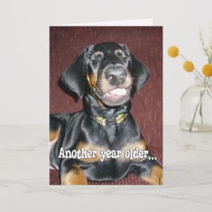 Birthday Humor - Smiling Doberman Pinscher Puppy Card