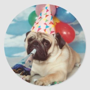 Birthday Pug Stickers