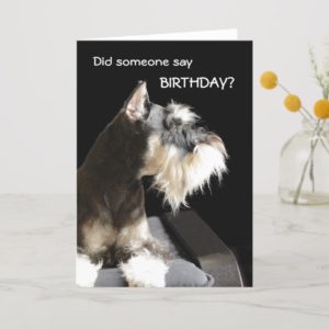 Birthday Schnauzer Card