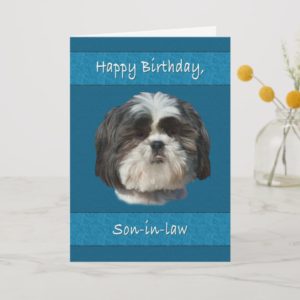 Birthday,  Son-in-law, Shih Tzu Dog Card