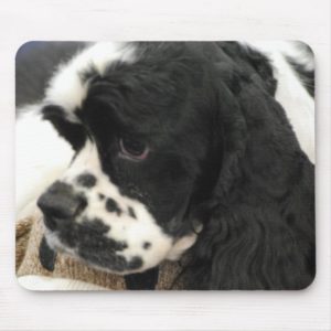 Black and White Cocker Spaniel Mouse Pad