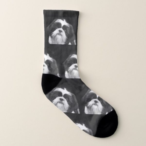 Black and white shih tzu  dog socks