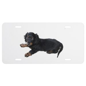 Black Dachshund Cocker Spaniel Puppy Photograph License Plate