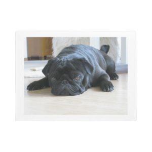 black pug flat doormat