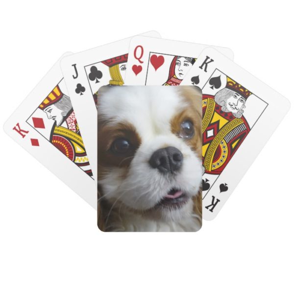 Blenheim Cavalier King Charles Playing Cards