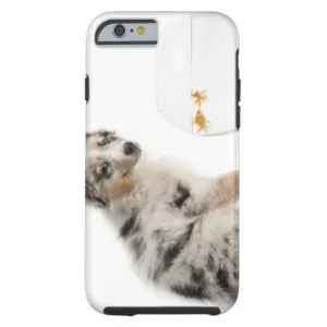 Blue Merle Australian Shepherd puppy looking at Case-Mate iPhone Case