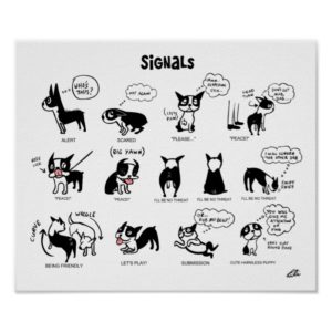 Boogie Signals by Lili Chin Poster