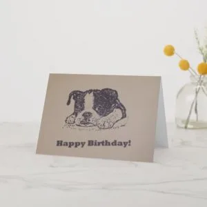 Boston Terrier Birthday Card