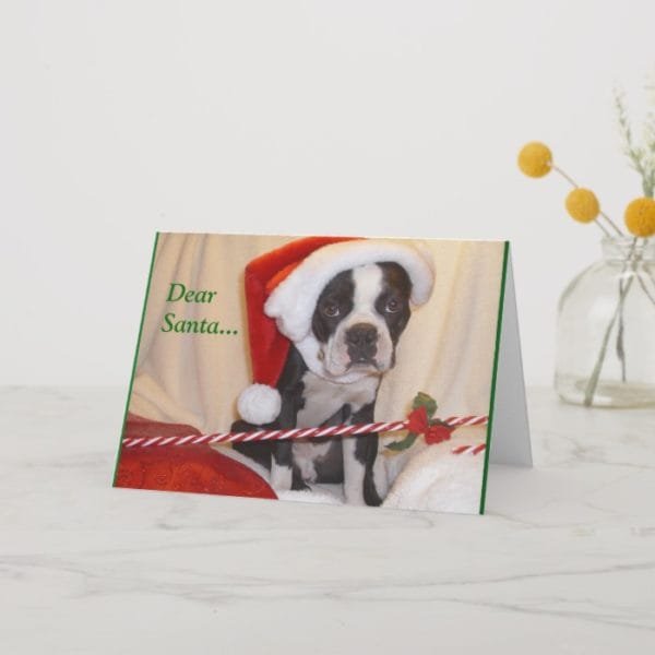 Boston Terrier Christmas Card