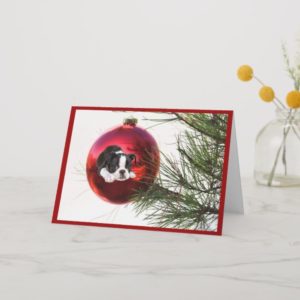 Boston Terrier Christmas Card Ball
