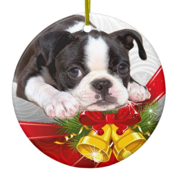 Boston Terrier Christmas Hanging Ornament