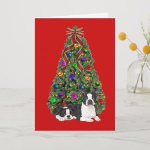Boston Terrier Christmas Tree Card