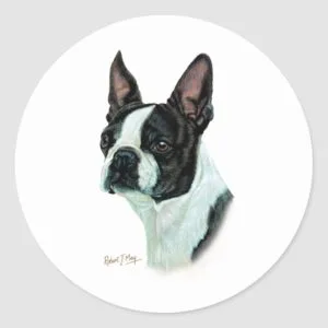 Boston Terrier Classic Round Sticker