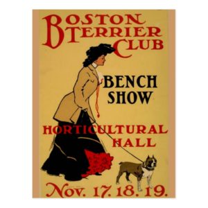 Boston Terrier Club Postcard
