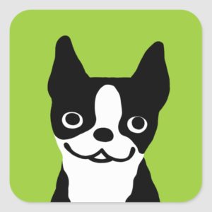 Boston Terrier - Cute Dog Square Sticker