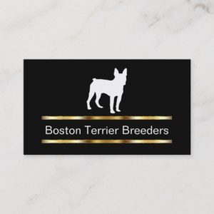 Boston Terrier Dog Breeder Business Cards