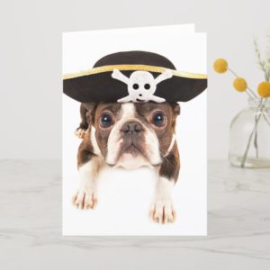 Boston Terrier Dog Dressed As A Pirate Card