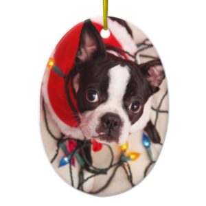 Boston Terrier Dog in Twinkling Lights Ornament