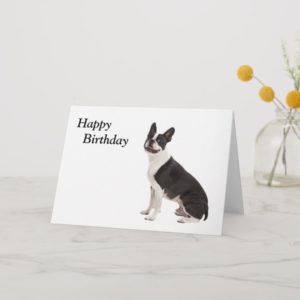 Boston Terrier dog photo custom birthday card