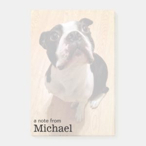 Boston Terrier Dog Post-it Notes