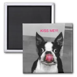 BOSTON TERRIER MAGNET