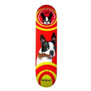 Boston Terrier Mirabelle skateboard